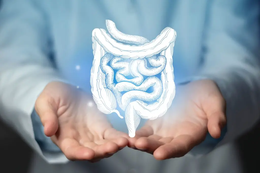 Which Side to Lie on for Digestion Issues Such As Gas Constipation and Stomach Pain